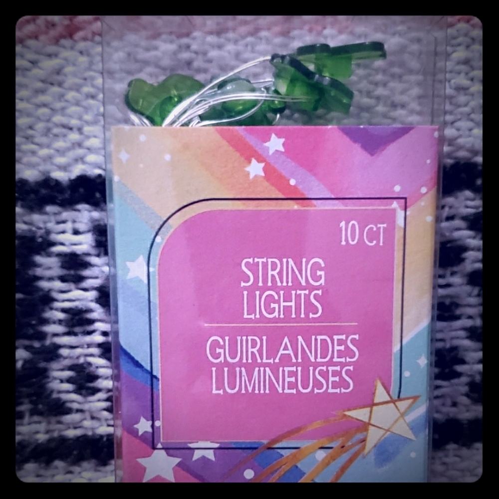 ☘️🌵 Pretty cactus string lights!